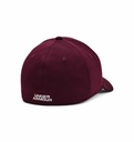 Gorra Under Armour Blitzing (copia)