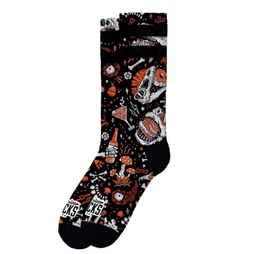 [AS347] Calcentines Dinos American Socks